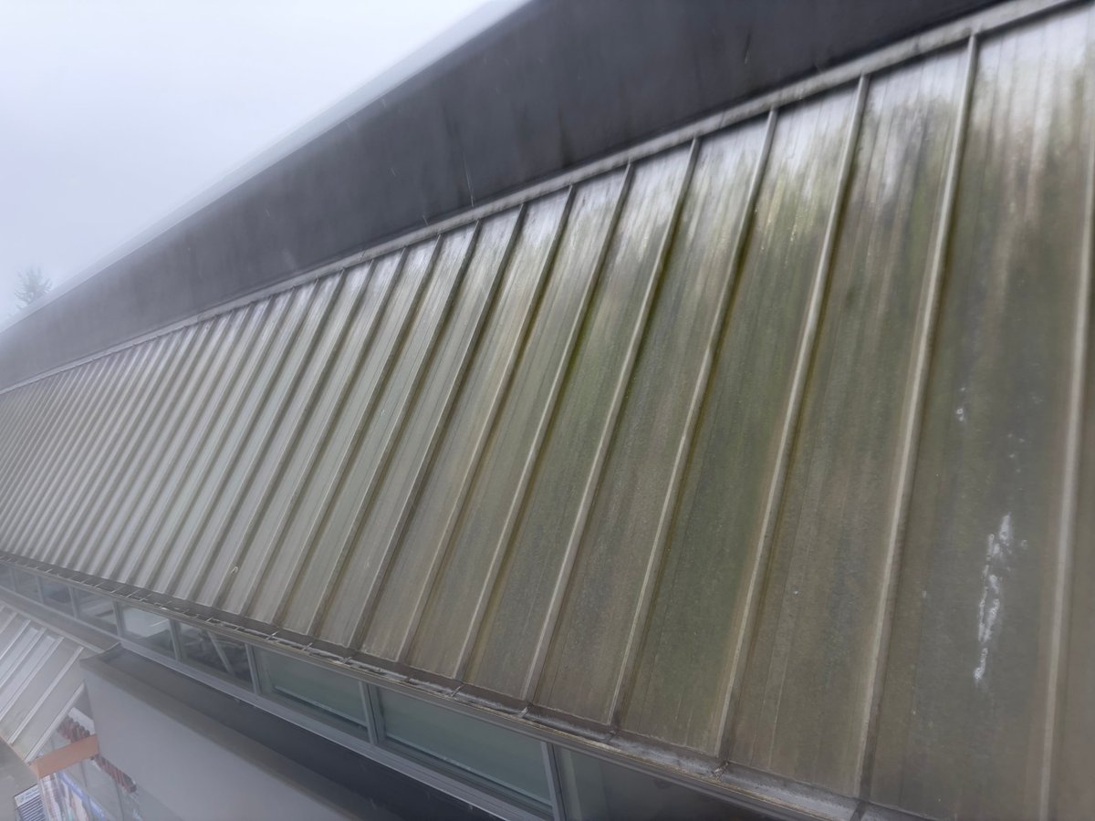 Corrugated metal roof with vertical ribbing and discoloration from weathering and debris buildup