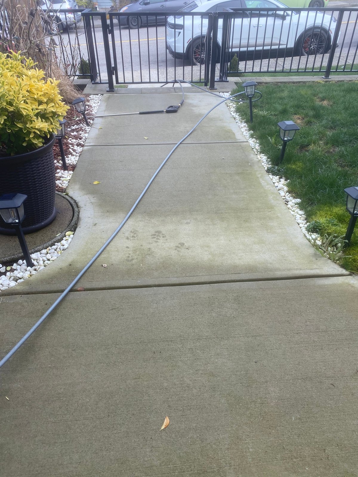 Concrete driveway with garden hose running across it, bordered by landscaping and black metal gate in background