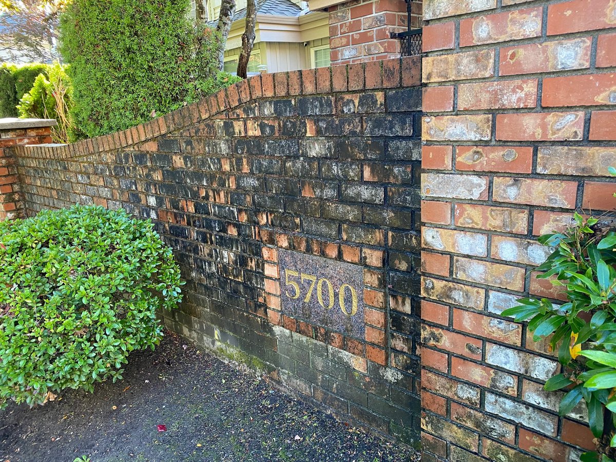 Weathered brick wall with number 5700, surrounded by green ivy and shrubbery along a residential pathway.