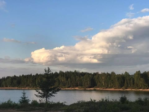 Scenic lake landscape with dense evergreen forest along shoreline and white puffy clouds in blue sky
