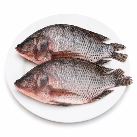 Dos mojarras frescas con escamas plateadas sobre un plato blanco
