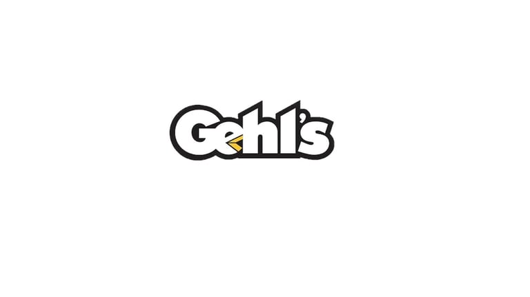 CDHFS logo with text overlaid on bar chart graphics