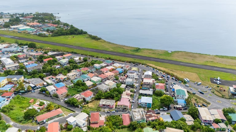 Aerial view of residential suburb with colorful houses and green agricultural fields