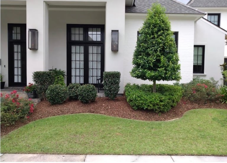 Front Yard Enhancement