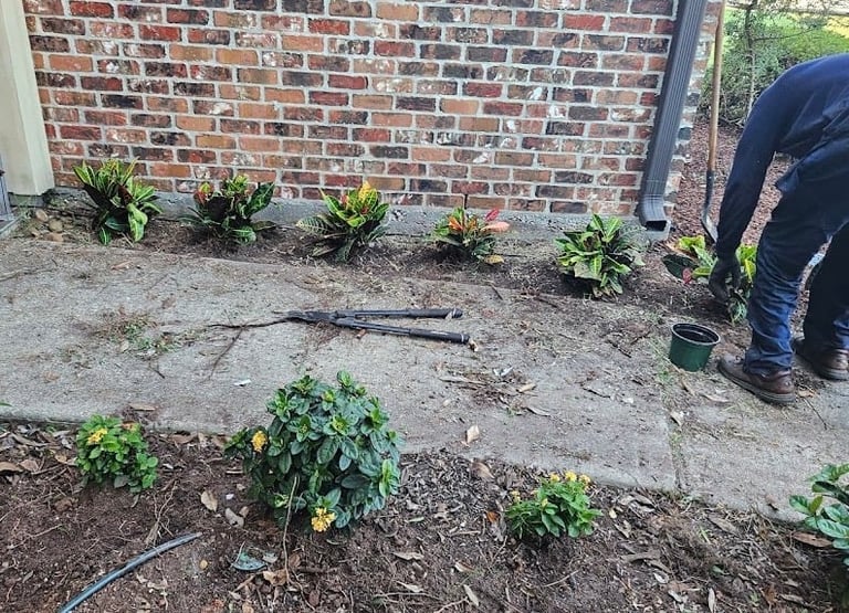 Garden Bed Installation