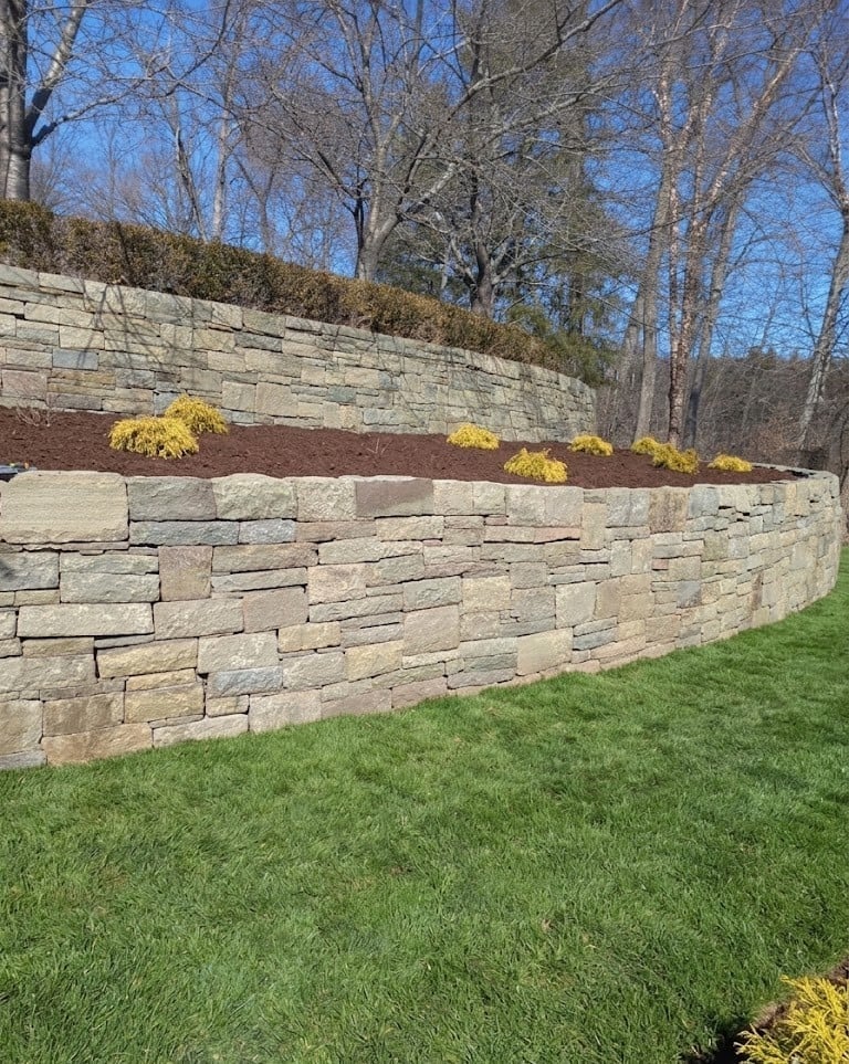 Tiered stone retaining wall with yellow flowering shrubs along a grassy slope, bare trees in background