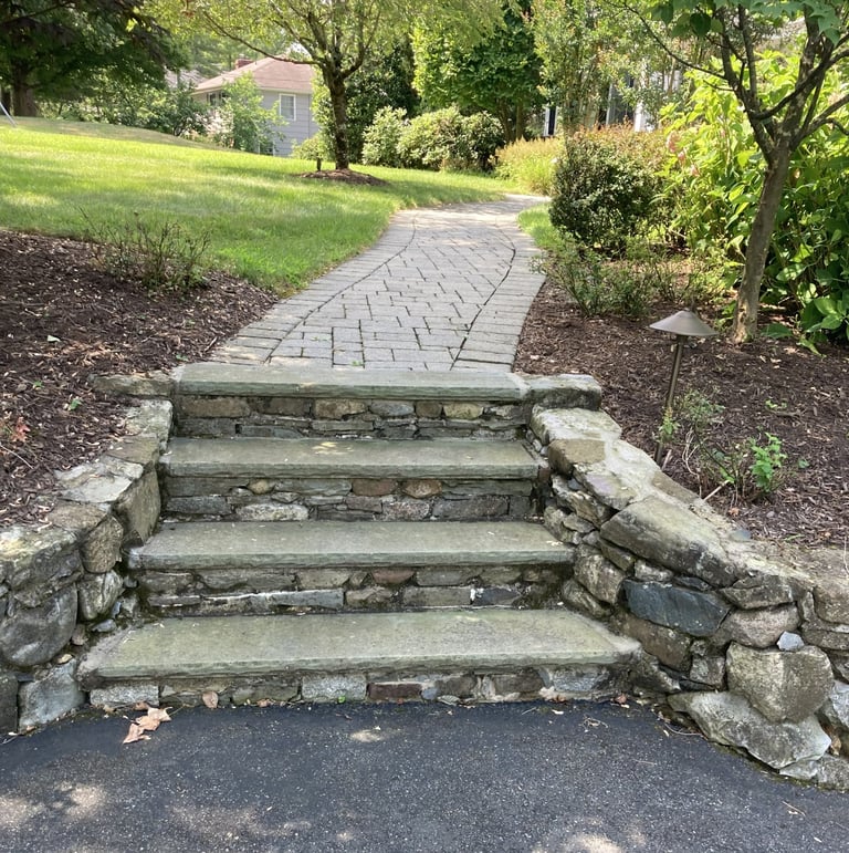 Stone steps leading up to a paved pathway in a residential garden with trees and landscaping