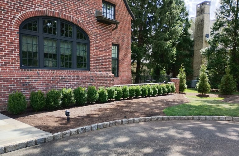 Red brick house with large arched window, newly landscaped front with row of green shrubs and paved driveway