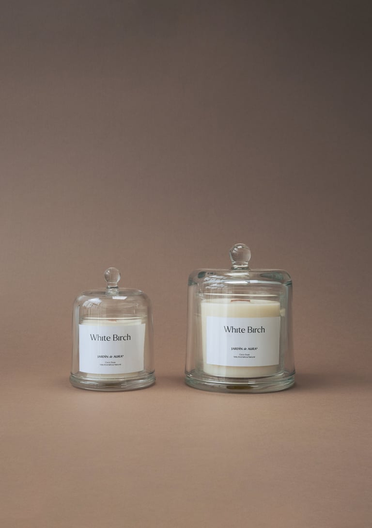 Two White Birch scented candles in glass jars with lids on a neutral beige background, one small and one large size