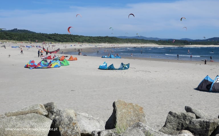 Beach scene with kite surfers, colorful kites overhead, sandy shore with rocks, and multiple people in the water