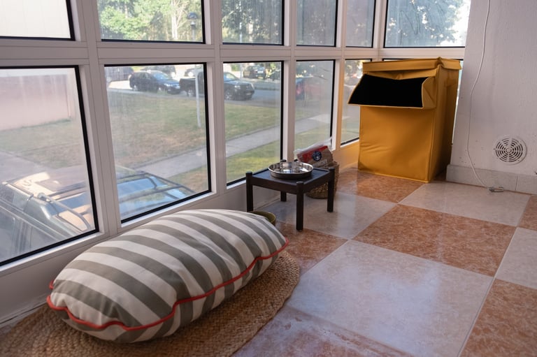 Sala moderna minimalista com almofada de chão às riscas, mesa preta pequena, caixa de cartão amarela e janelas amplas com vista para o jardim
