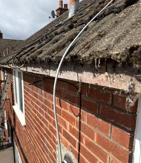 Aged slate roof with moss and lichen on red brick house, white guttering visible, workers on roof with tools
