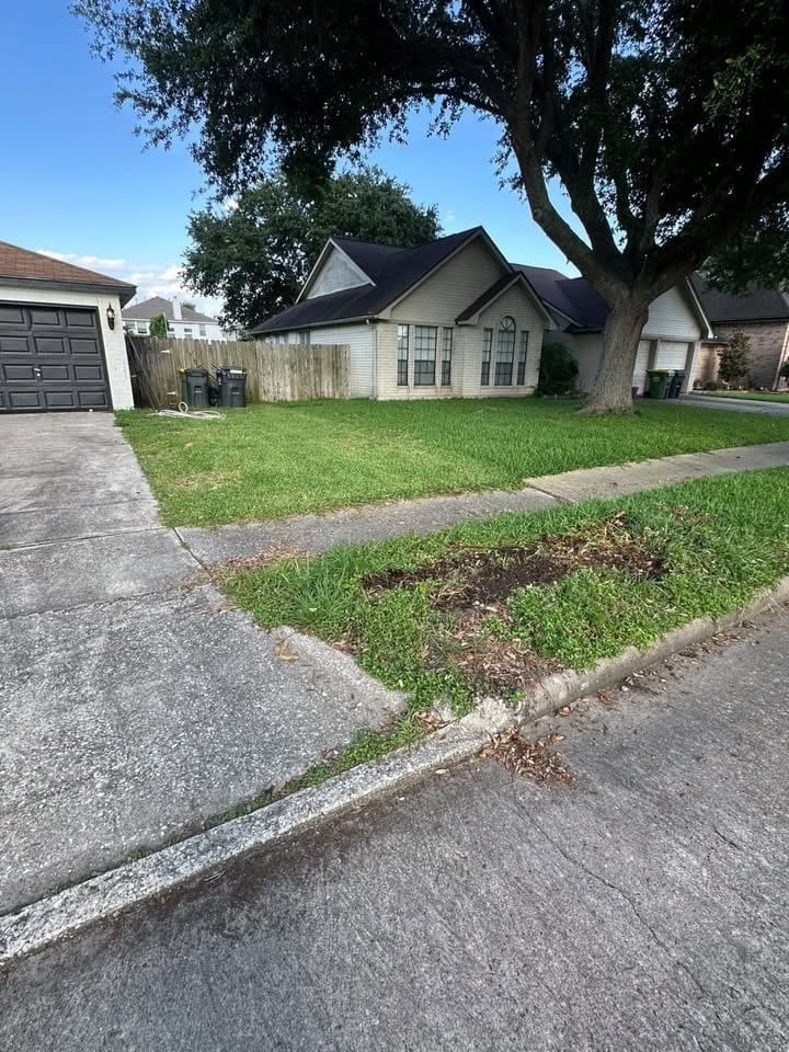 After — Residential Debris Cleanout