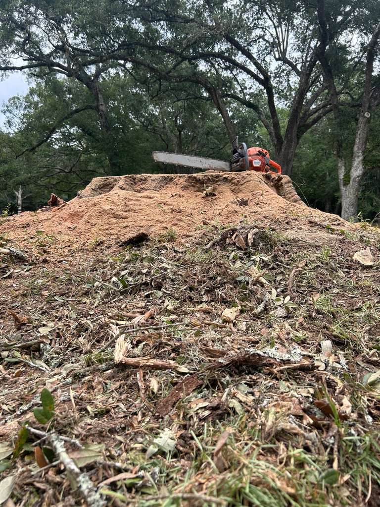 A person on a red wood chipper stands atop a large pile of wood chips and debris beneath tall oak trees