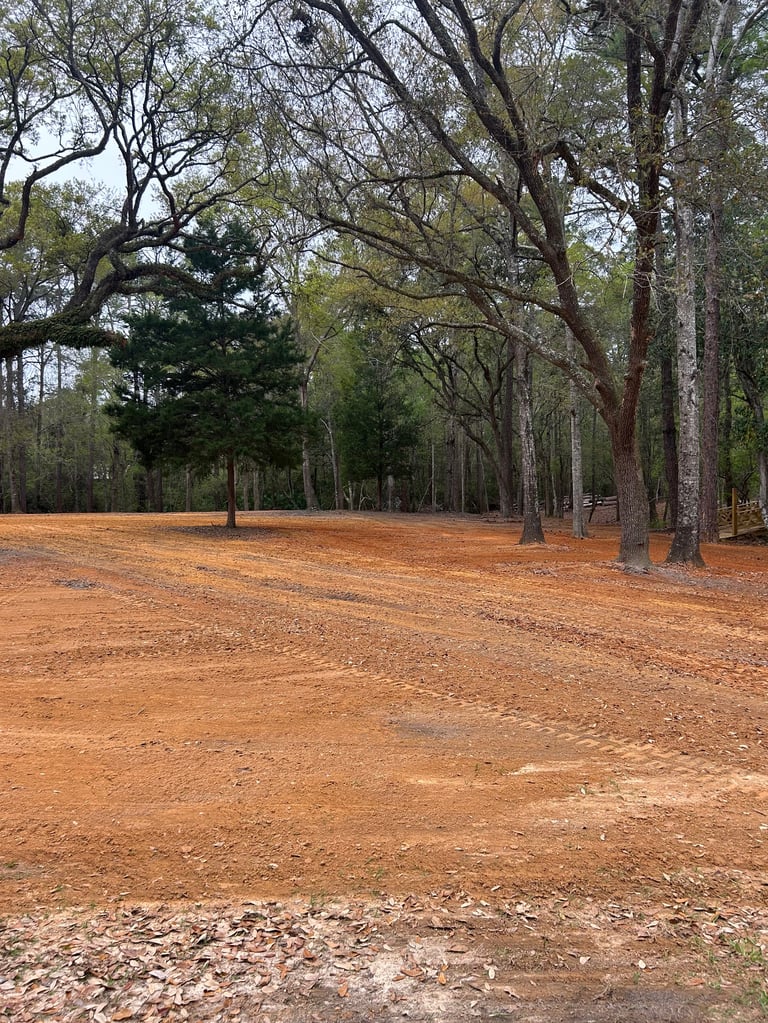 A spacious dirt clearing in a forest with tall trees lining the sides and scattered leaves covering the ground