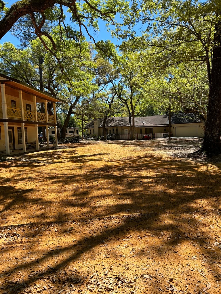 Rustic ranch compound with wooden buildings and large oak trees casting shadows on dirt ground under blue sky