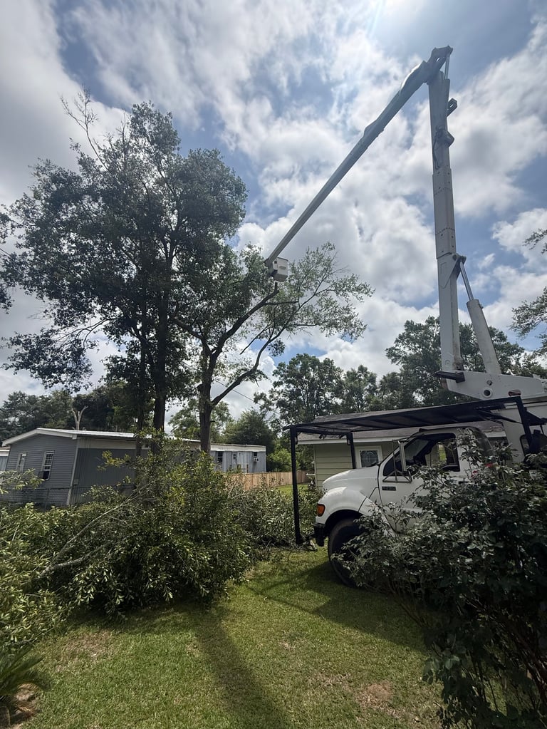 Utility truck with extended boom arm parked near trees and rural buildings on grassy property under cloudy sky