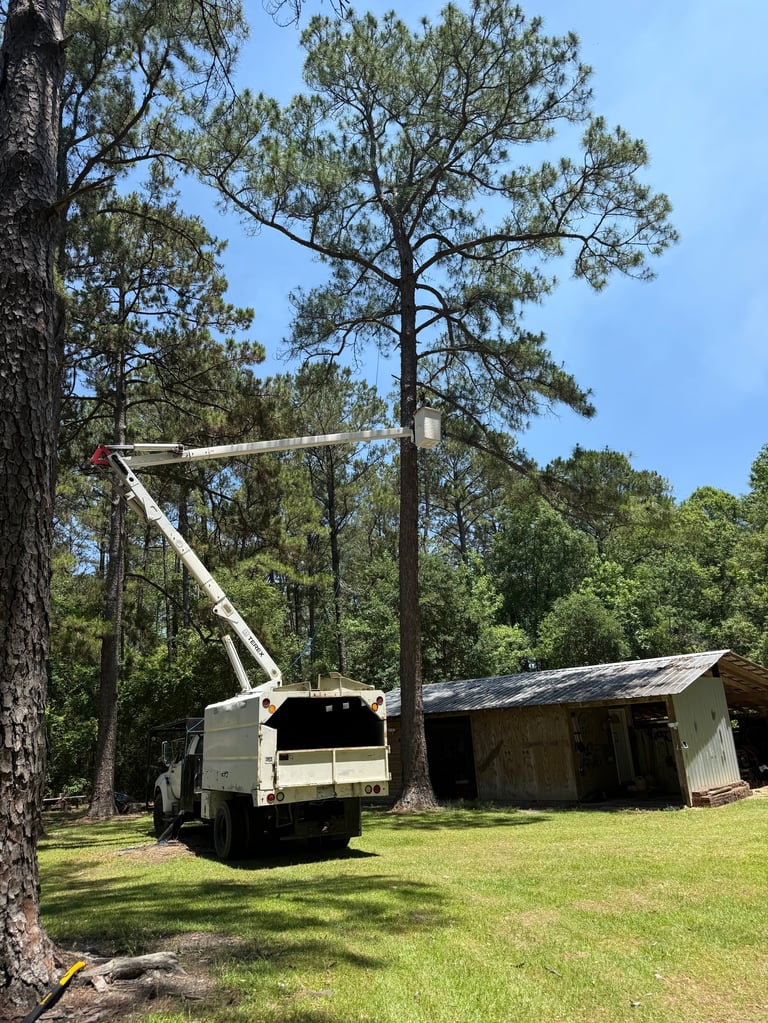 White bucket truck parked on grass near pine trees and abandoned wooden structure in rural setting