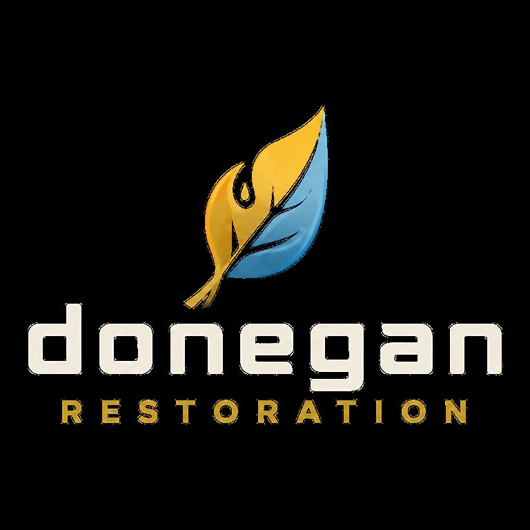 Donegan Restoration logo featuring a stylized gold and blue feather with company name in white text