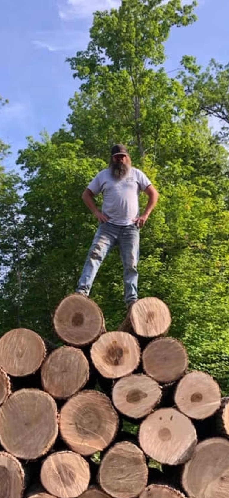 Man with long beard standing on a pile of cut logs with trees in background