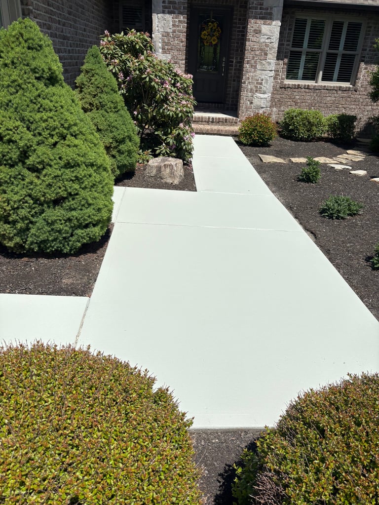 Modern home exterior with white concrete walkway bordered by manicured green hedges and dark mulch landscaping