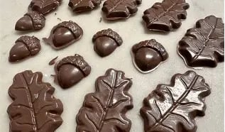Assorted dark chocolate candies and leaves arranged on a white surface, including heart-shaped and leaf-shaped pieces
