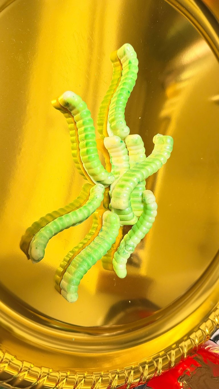 Green and white segmented caterpillar displayed in a clear glass container with yellow lighting
