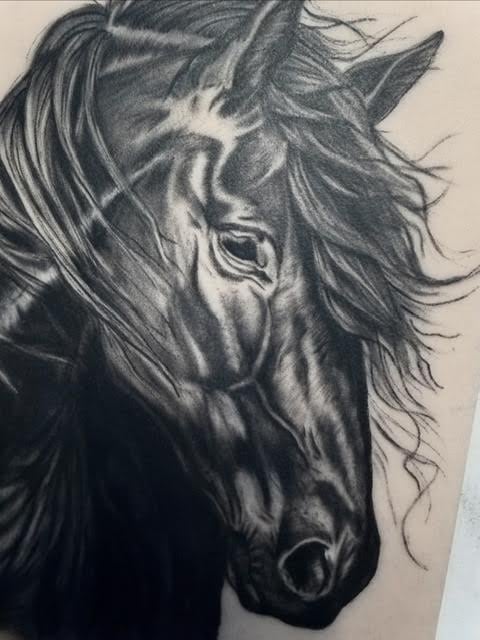 Detailed pencil sketch of a horse head in profile, showing flowing mane and expressive eye with shading and texture