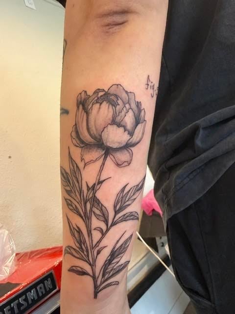 Black ink sketch-style peony flower tattoo on a persons forearm with detailed stem and leaves