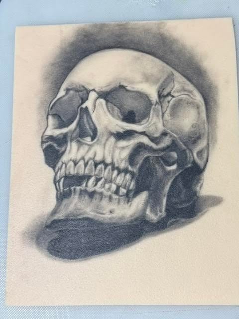 Detailed pencil drawing of a human skull shown from a three-quarter angle view, rendered with shading and anatomical precision on cream-colored paper