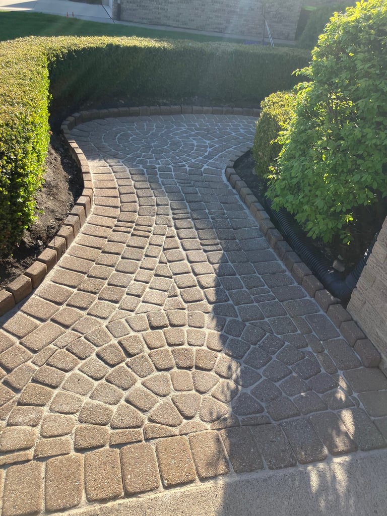Curved paved pathway with stone pavers flanked by tall green hedges in sunlight