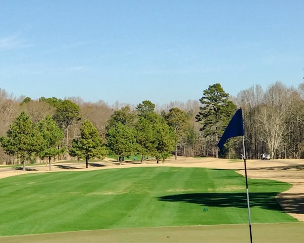 Golf course putting green with blue flag, surrounded by trees and fairway under clear blue sky