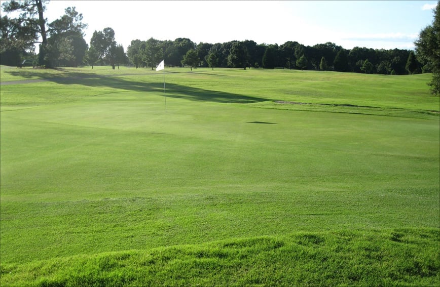 Expansive green golf course fairway with trees lining the perimeter and a flag visible in the distance under clear sky