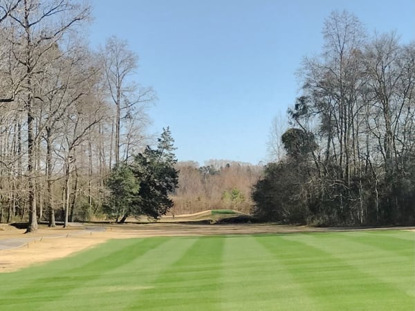 Wide open golf course fairway with bare trees lining both sides under clear blue sky