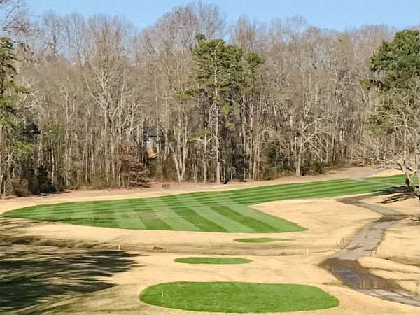 Golf course fairway with manicured green grass and sand bunkers, surrounded by bare trees and forest