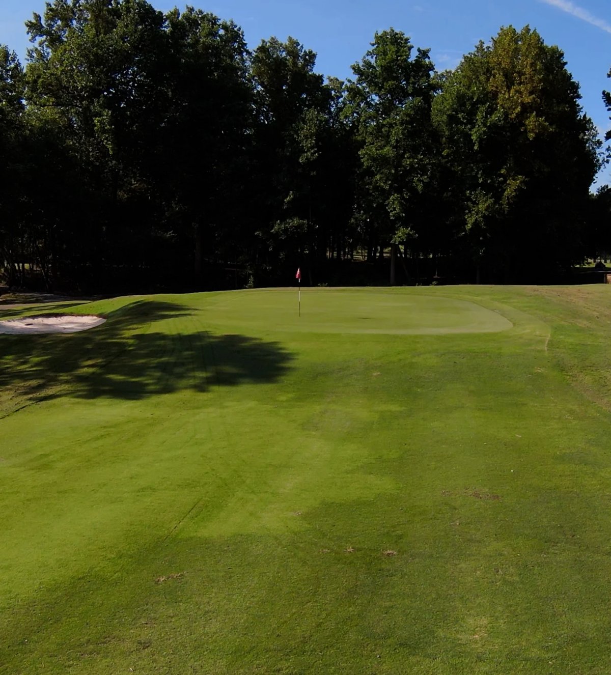 A well-maintained golf course green with a flag pin, surrounded by mature trees and blue sky