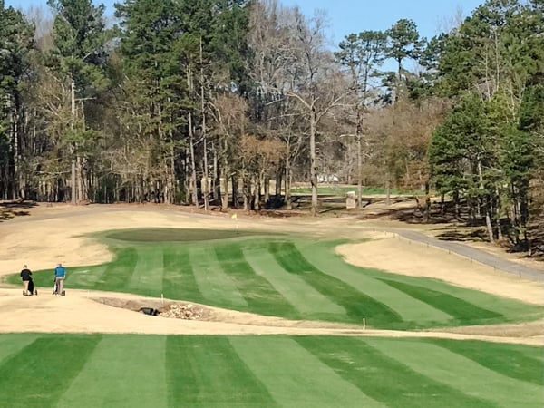 Golf course with manicured green and sand bunkers surrounded by pine trees and bare deciduous trees