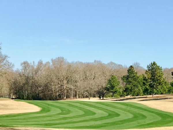 Well-maintained golf course with striped fairway, sand bunker, and tree line under clear blue sky