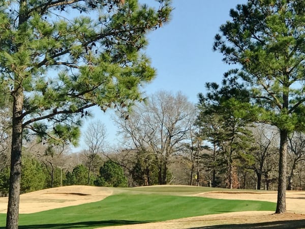 Golf course fairway with manicured green and sand bunker surrounded by tall pine and deciduous trees under clear blue sky