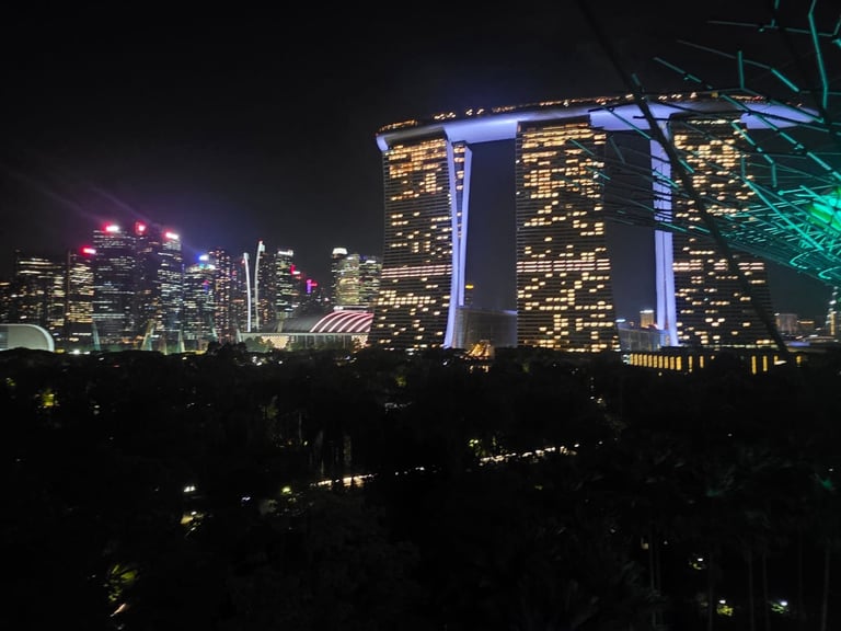 Night cityscape with illuminated skyscrapers and colorful blue and teal lighting on tall buildings, silhouetted trees in foreground