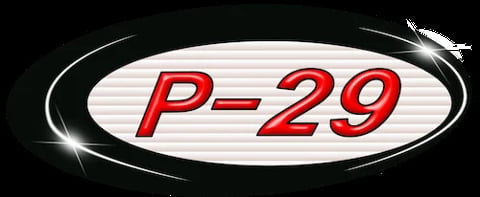 P-29 logo with red text inside an oval chrome badge on black background