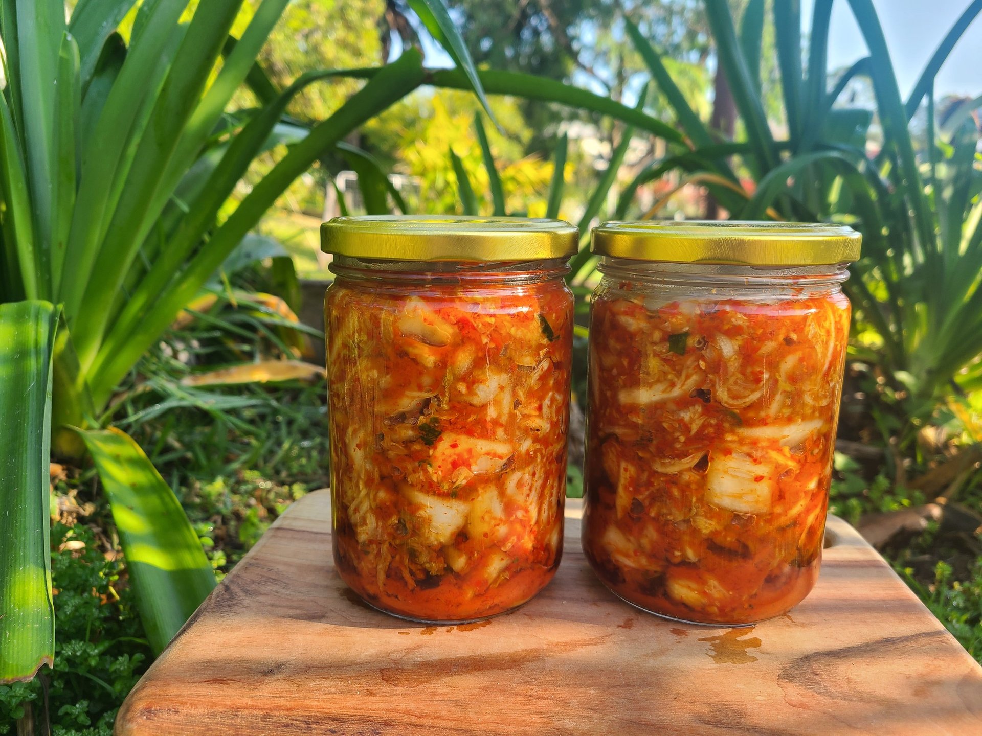 Two glass jars of red homemade salsa or tomato preserve on a wooden surface surrounded by green foliage