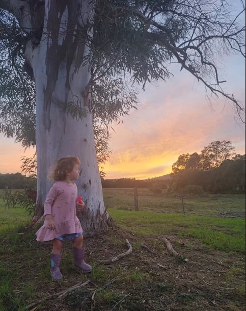 A young child in pink clothing stands beside a large eucalyptus tree at sunset in a rural landscape with golden sky