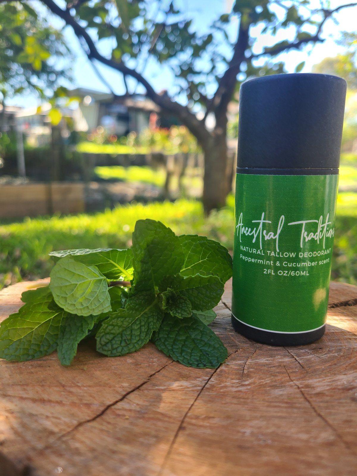 Green and black Ancestral Traditions natural tallow deodorant stick with peppermint and cucumber label next to fresh mint leaves on a wooden surface in a sunny garden