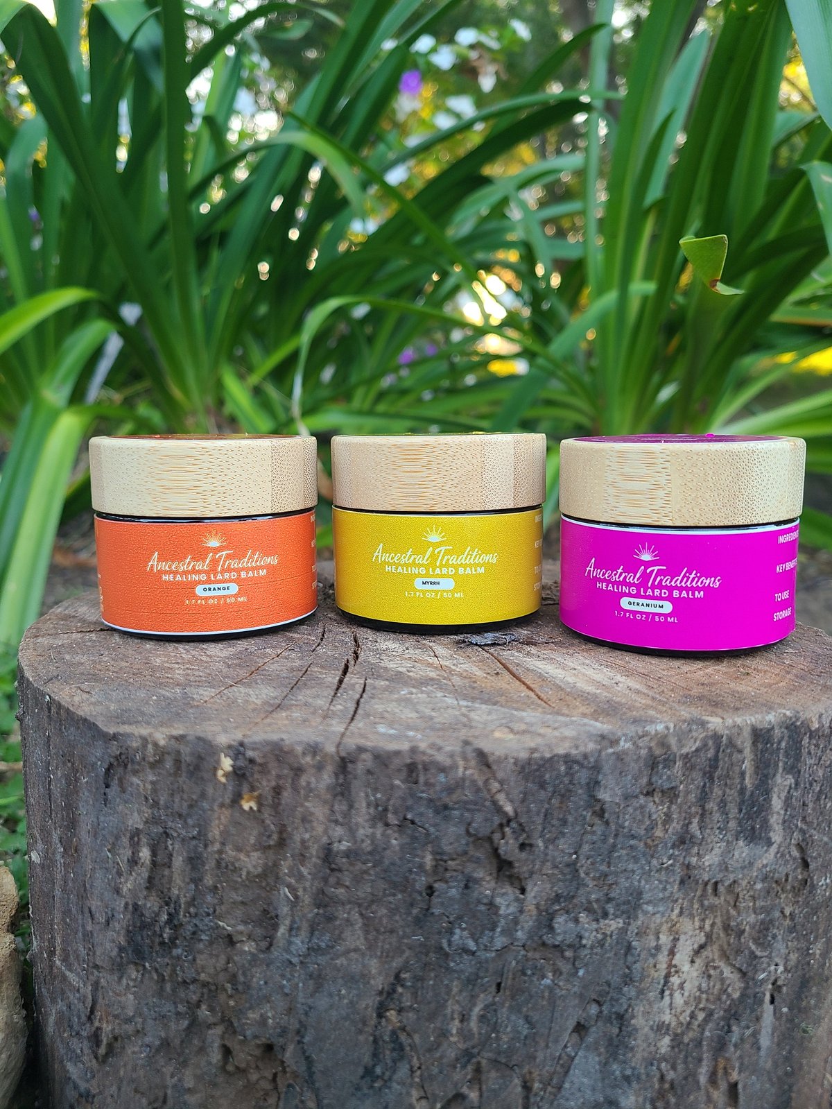 Three colorful Ancestral Traditions Healing Lard Balm jars (Geranium, Orange, Myrrh) with natural wooden lids arranged on a garden stump
