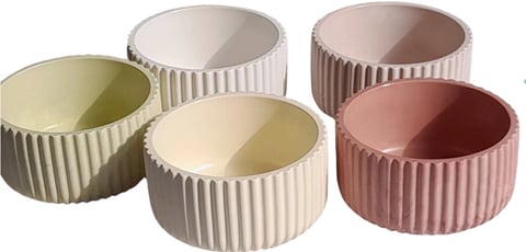 Five ribbed ceramic bowls in various pastel colors including green, cream, white, tan, and dusty rose