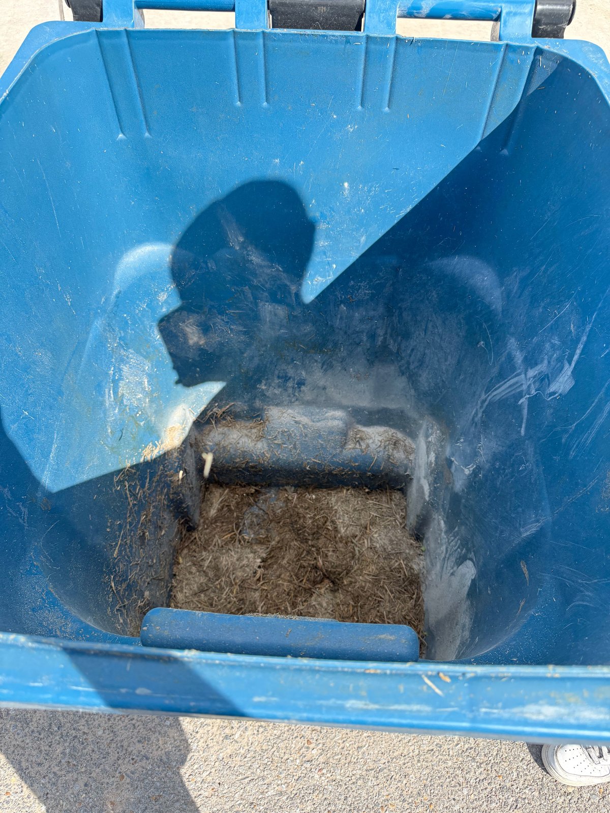Open blue trash bin filled with wet soil, mulch, and debris viewed from above