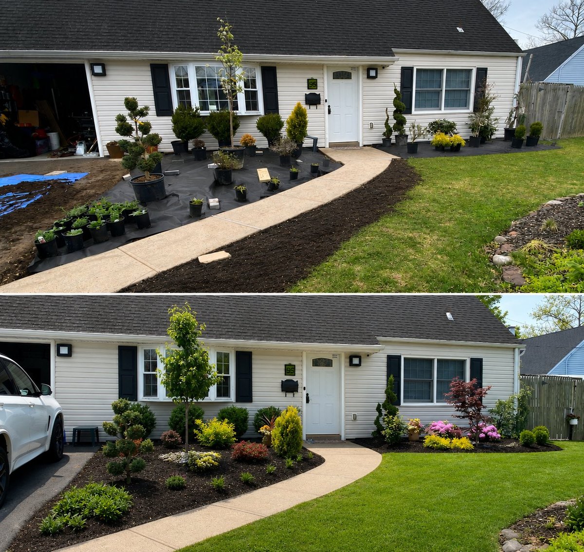 Before and after landscaping transformation