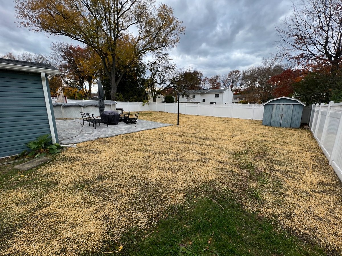 Residential backyard with patchy brown lawn, white vinyl fencing, small shed, and bare autumn trees under cloudy sky