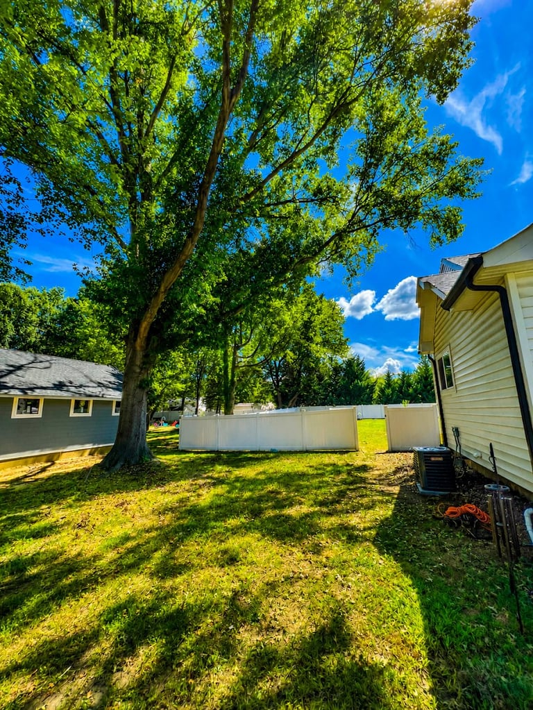 Residential backyard with large green tree, white fence, houses visible, clear blue sky with dappled sunlight on lawn